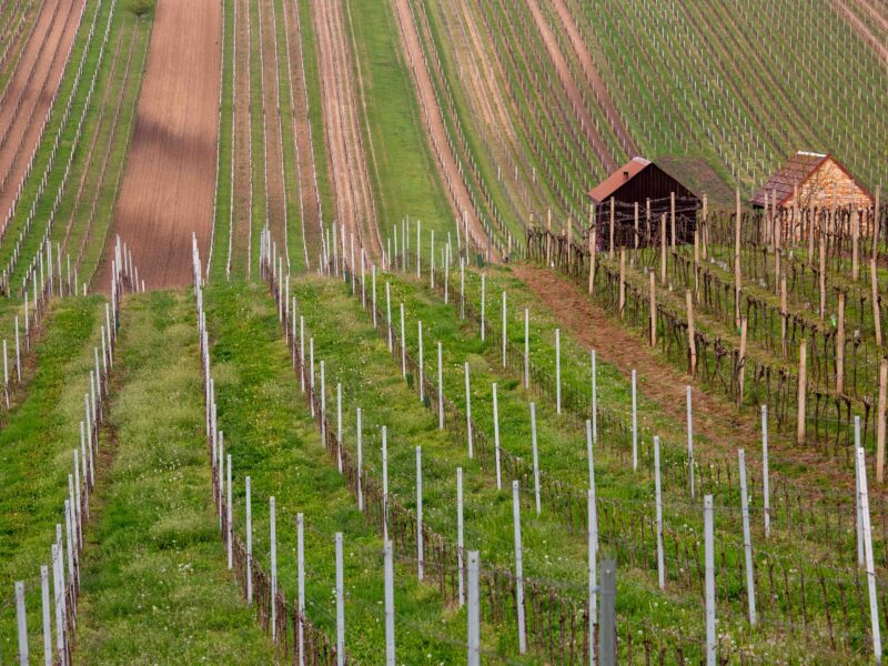 3 Lesser-Known Campervan Road Trips from Slovenia