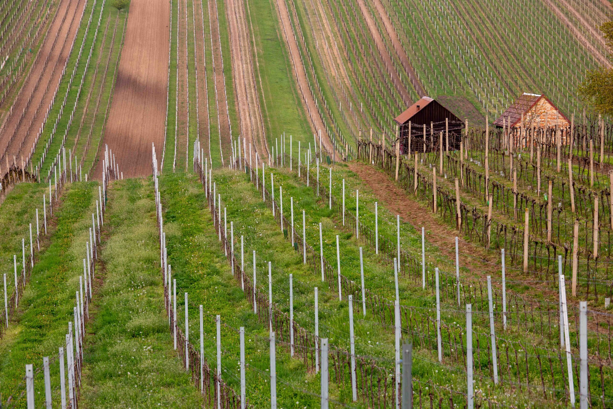 Kam z avtodomom za prvomajske praznike