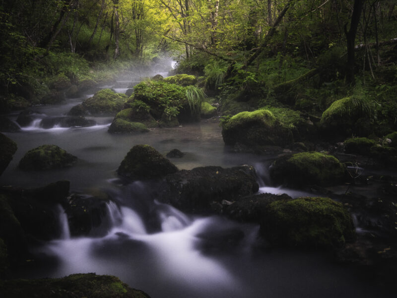 Vanture: več kot najem avtodoma