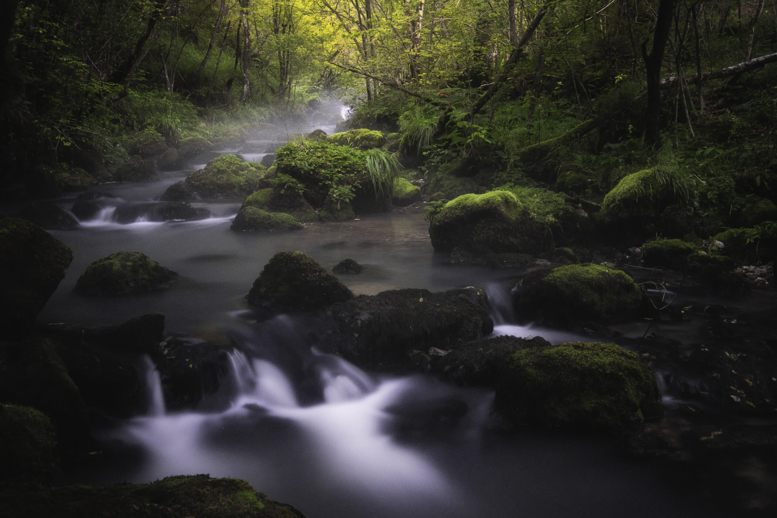 Vanture: več kot najem avtodoma