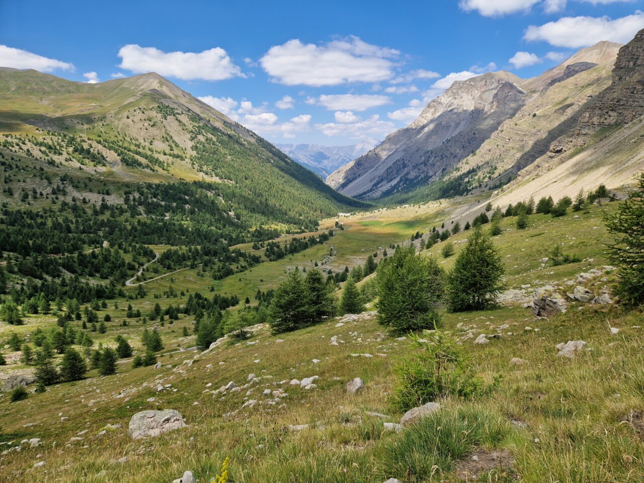Vzpon na Col de la Bonette